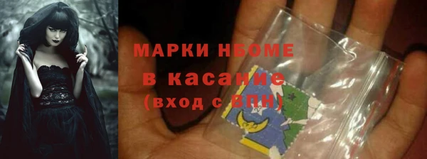 хмурый Алексин