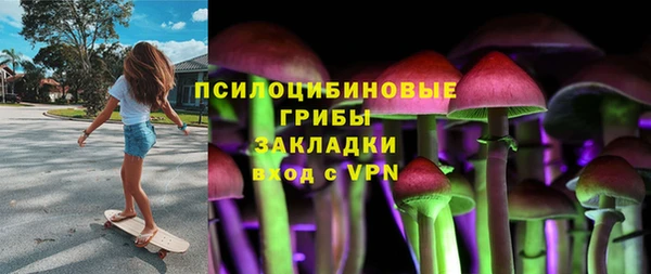 хмурый Алексин