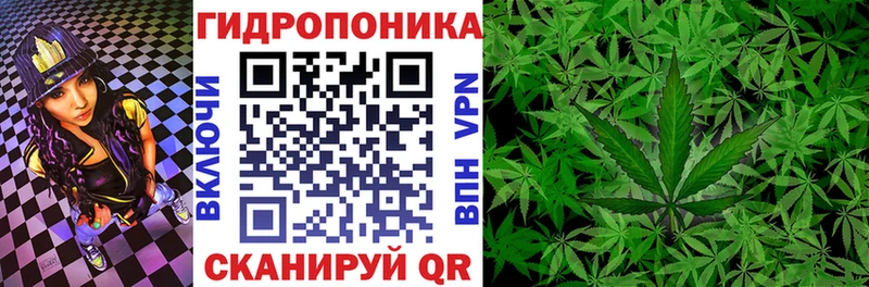 Бошки Шишки индика  магазин продажи   МЕГА ТОР  Стародуб 